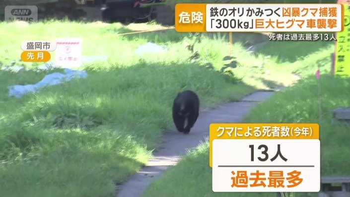 死者は過去最多13人