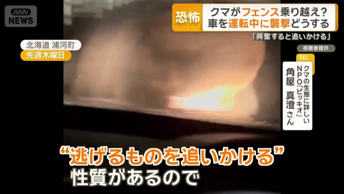 “逃げるものを追いかける”性質がある