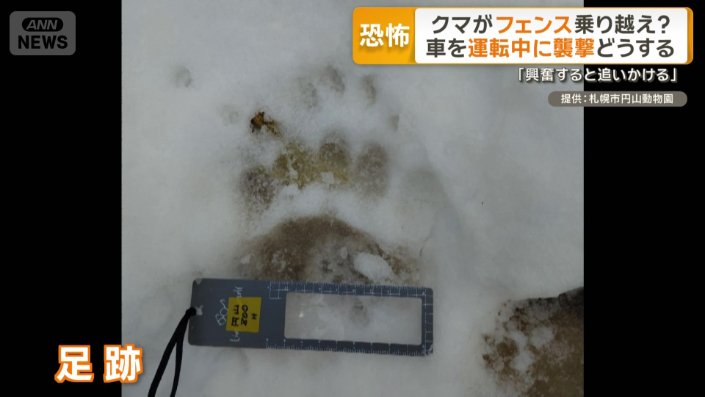 長さ10センチほどのハッキリとした足跡