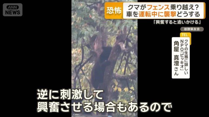 逆に刺激して興奮させる場合もある