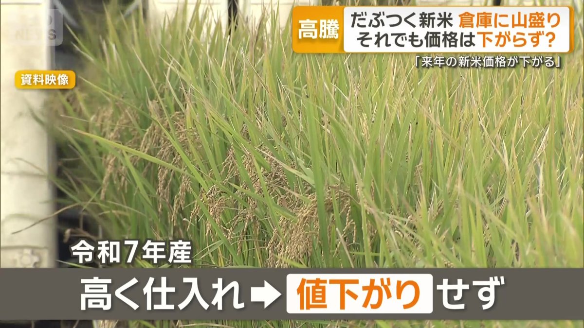 「令和7年産」高く仕入れ→値下がりせず