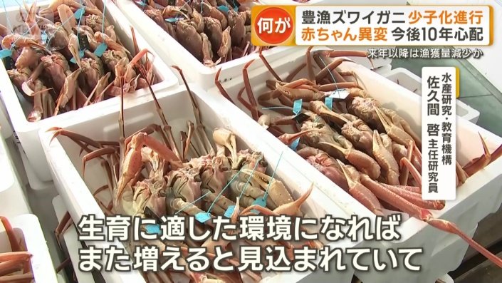 生育に適した環境になればまた増える見込まれている