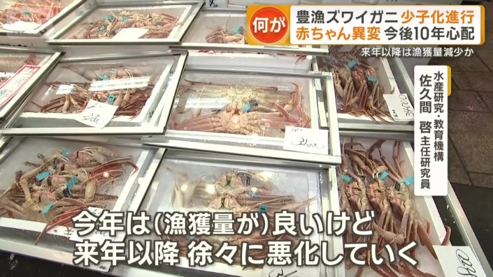 来年以降、徐々に悪化していく