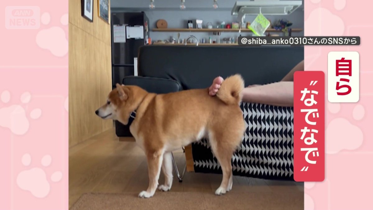 自ら“なでなで”