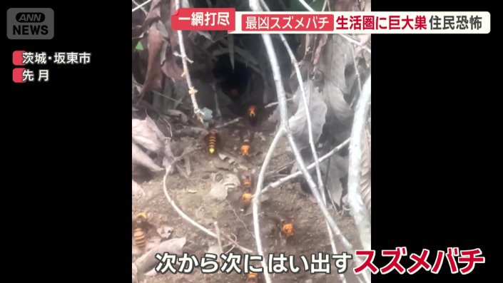 土の中から次から次へと…