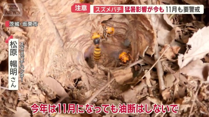 「今年は11月になっても油断はしないで」