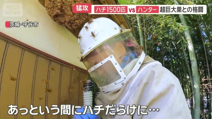 ハンターの周りはあっという間にハチだらけに
