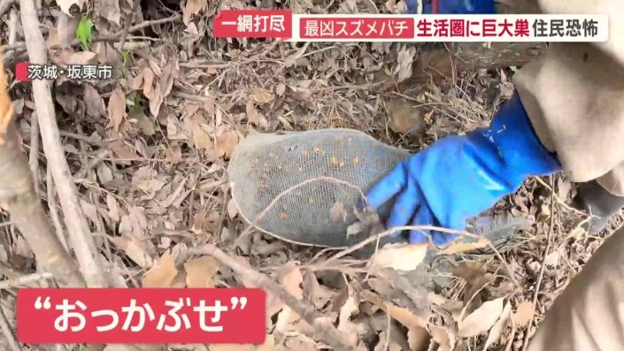 “おっかぶせ”を使う作戦