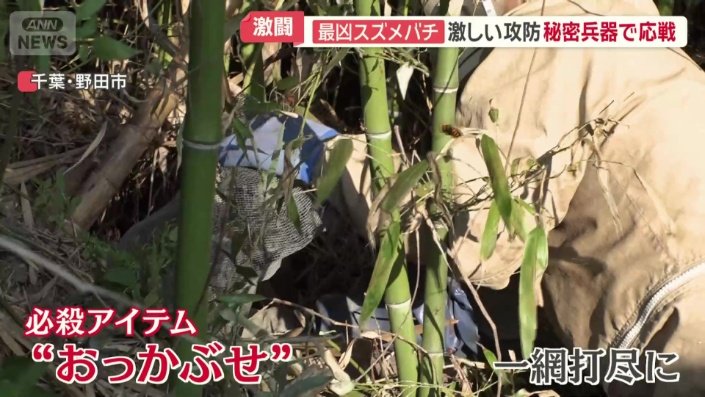 必殺アイテム“おっかぶせ”