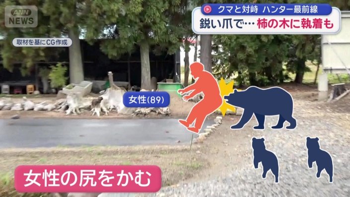 母グマにお尻をかまれた89歳の女性