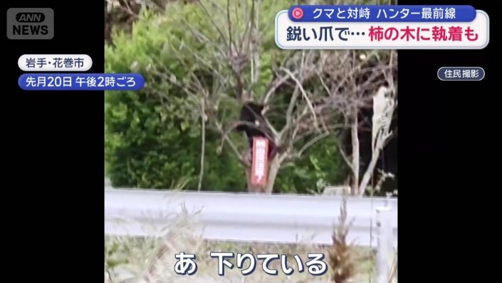 道路のガードレールの先に「熊出没注意!」と書かれた赤い看板が