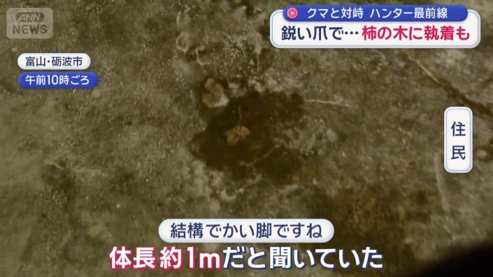 住宅の納屋にクマが侵入