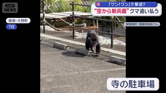 寺の駐車場にツキノワグマ