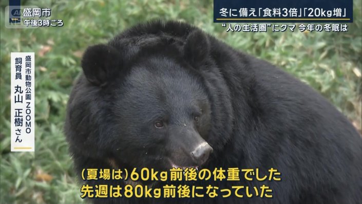 盛岡市動物公園『ZOOMO』　飼育員　丸山正樹さん