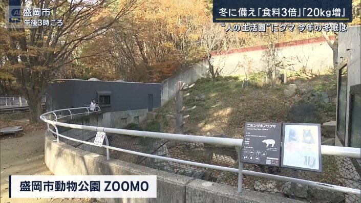 盛岡市動物公園『ZOOMO』