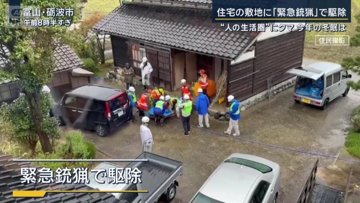 緊急銃猟で駆除