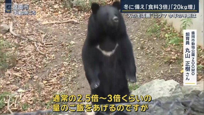 盛岡市動物公園ZOOMO・飼育員 丸山正樹さん
