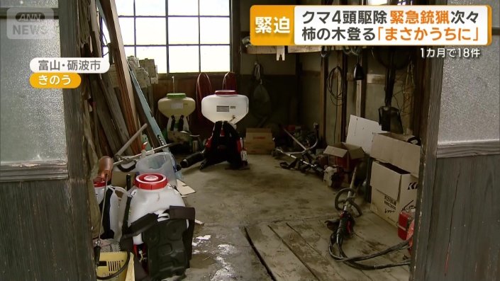 クマが侵入した納屋