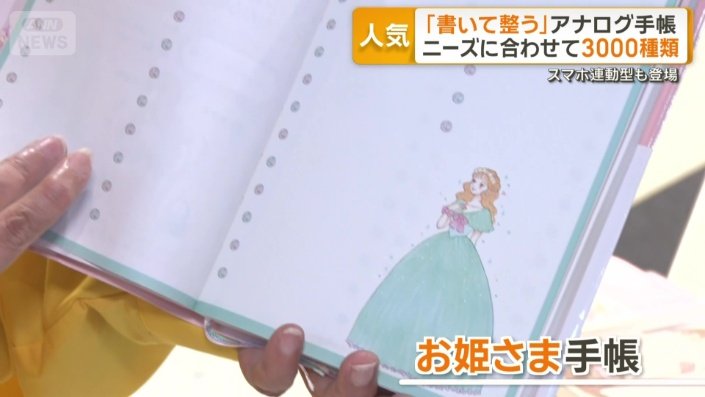 お姫さま気分が味わえる手帳