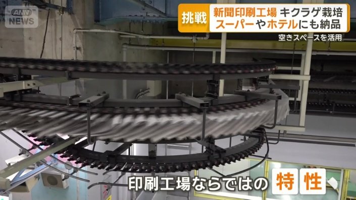 印刷工場ならではの特性も好都合に