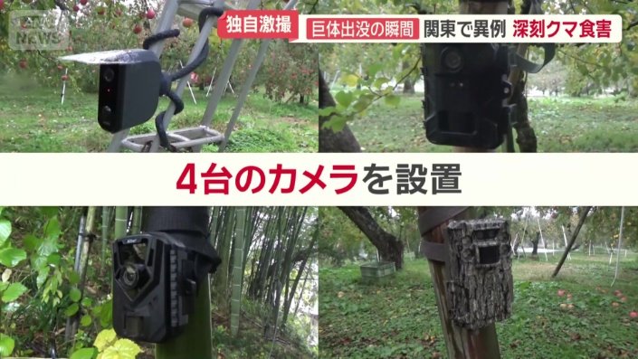 農園内に4台のカメラを設置