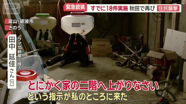 成獣のメスだったという