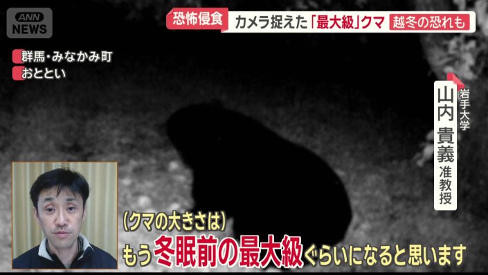 12月を過ぎてもクマが出没する恐れ