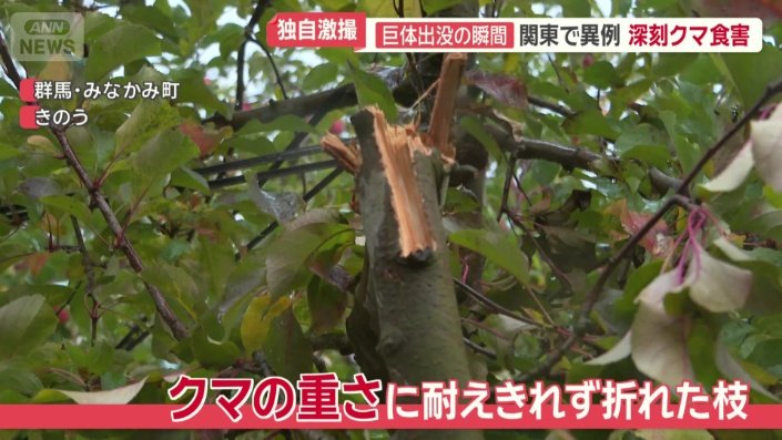 ここまでの被害は初めて