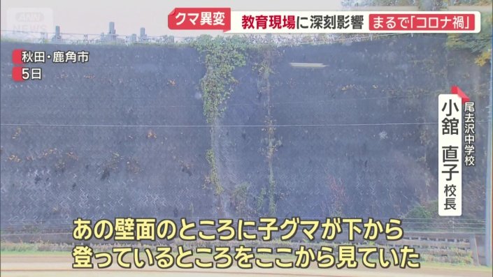 中学校の校庭にクマが出没