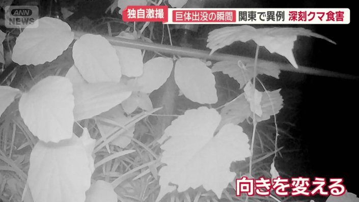 向きを変える様子まで映っていた