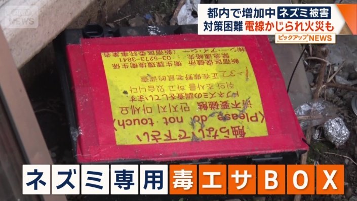 ネズミ専用の毒エサBOX