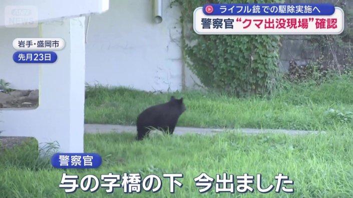 先月クマが出没