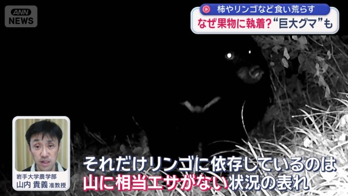 専門家「山に相当餌がない状況の表れ」