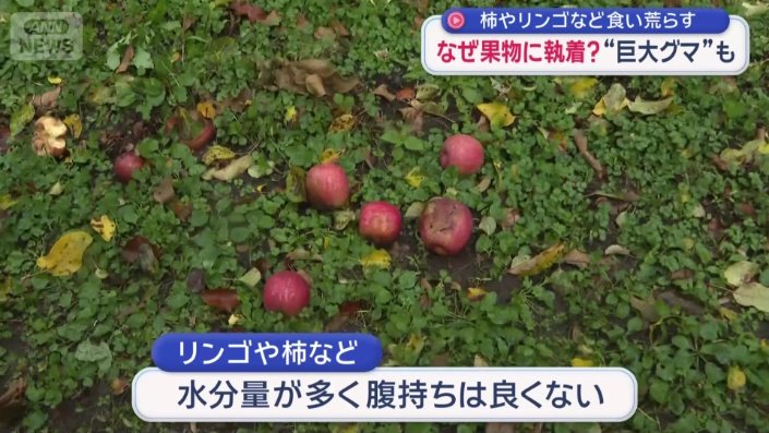 リンゴや柿などは腹持ちは良くない