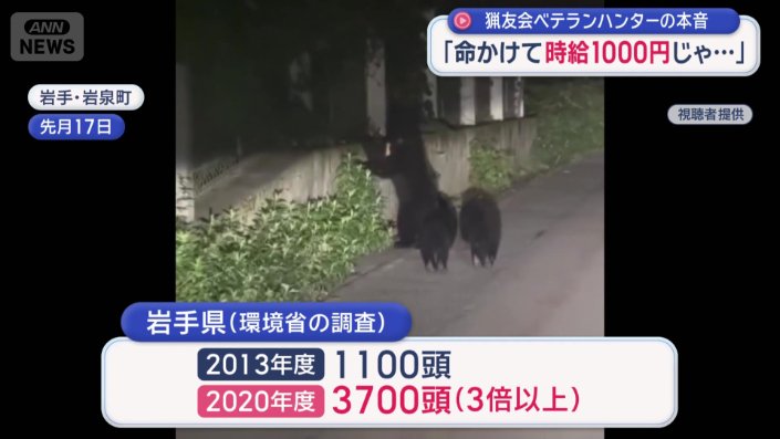 クマの個体は年々増えてきている