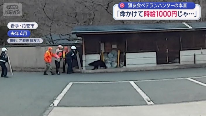 飛び出てきたクマ