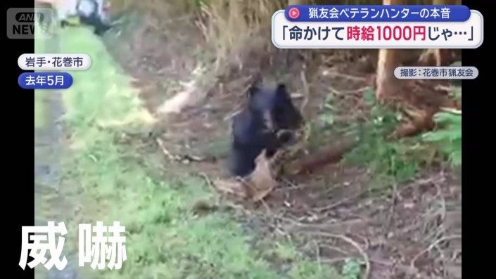 突然クマが威嚇