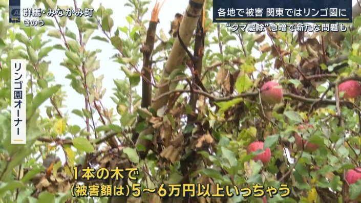 リンゴ園オーナー