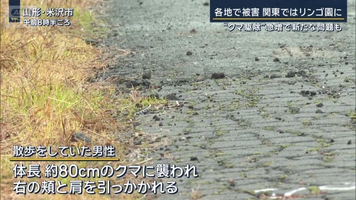 散歩をしていた男性