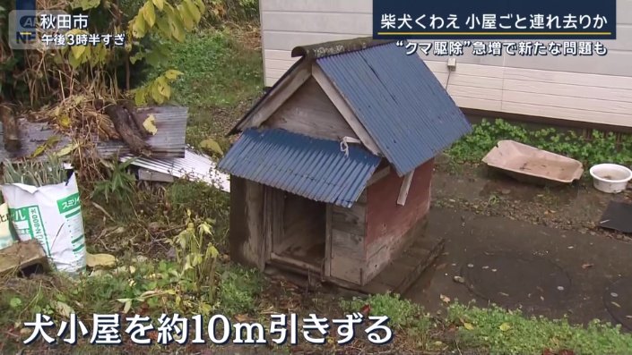 犬小屋