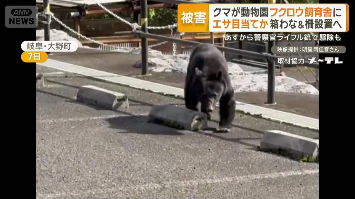 連日のように人里に現れるクマ