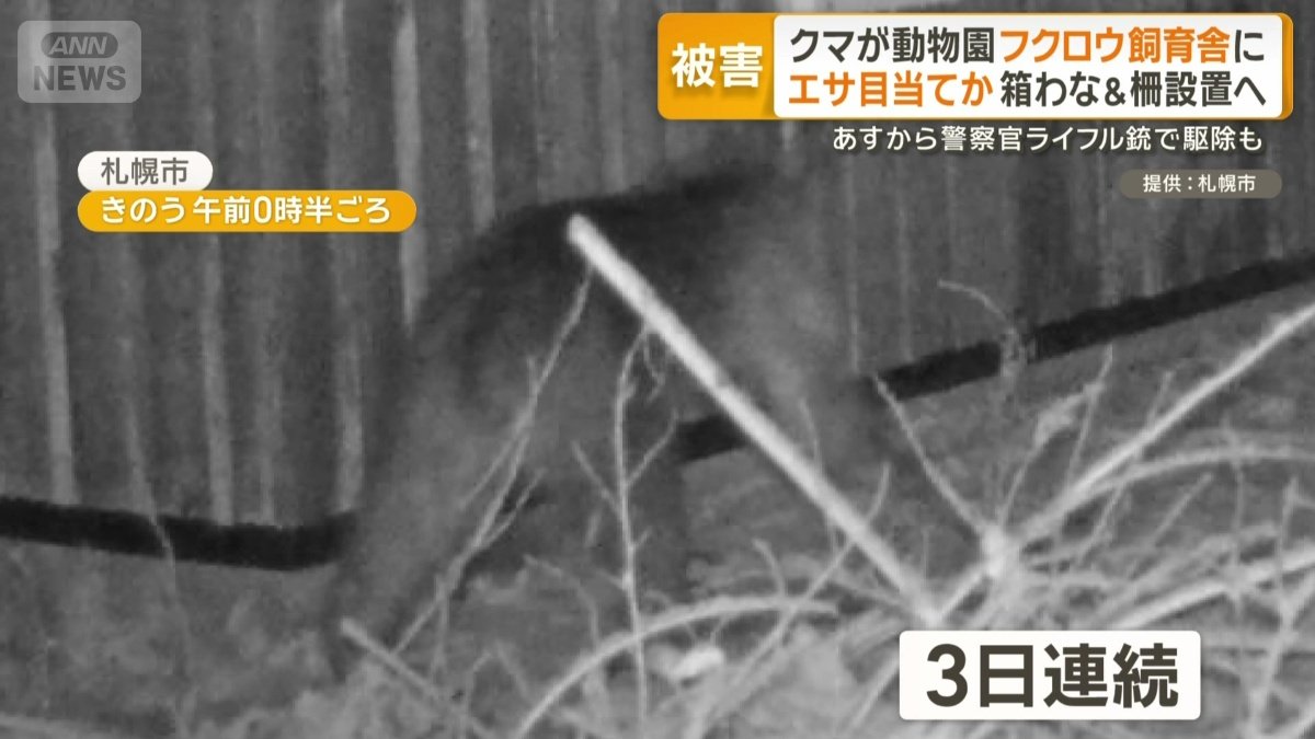 札幌・円山動物園に3日連続で出没した野生クマ
