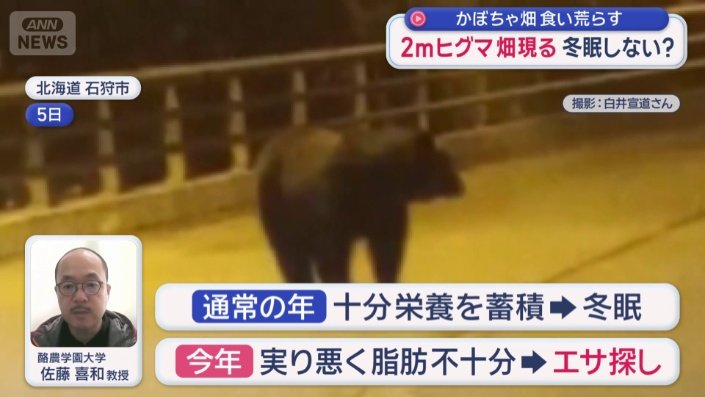 ヒグマの冬眠の時期が遅れる恐れ