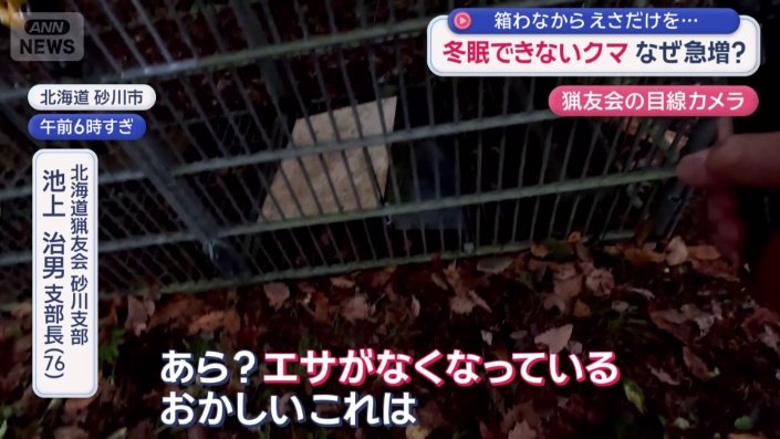 餌が持ち去られた