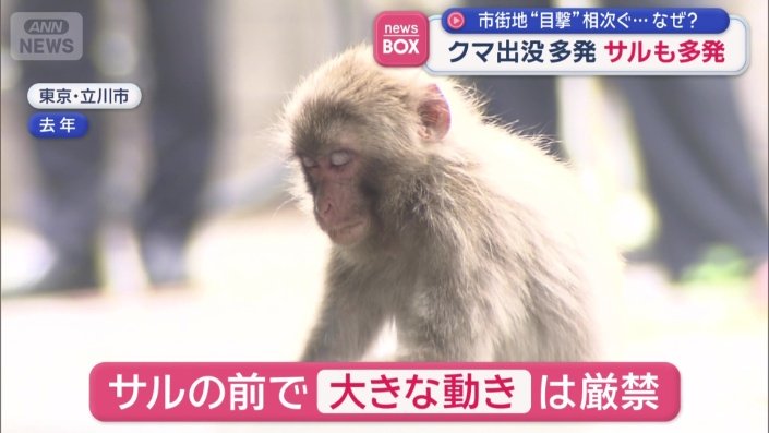 大きな動きは厳禁