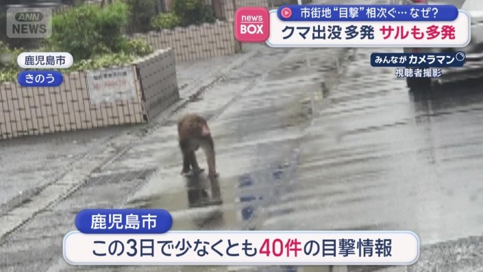 市街地での出没が頻発しているサル