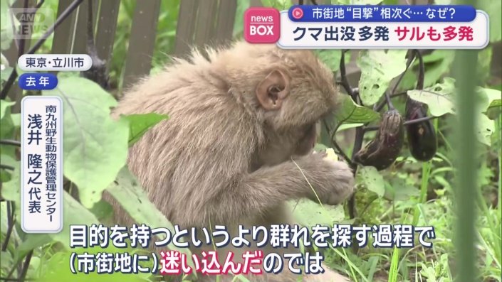 なぜ単独で街中に現れた?