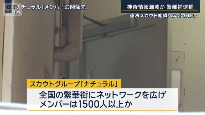 スカウトグループ『ナチュラル』