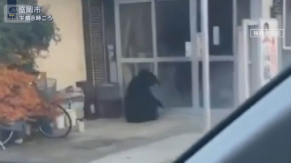 猟友会ハンター襲われる事態も…広がる“クマ被害”政府が支援へ