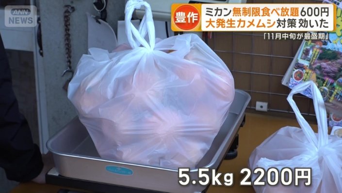 1キロ400円で持ち帰りも可能